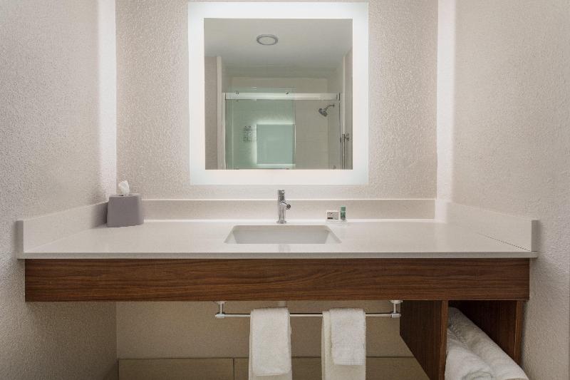 스탠다드 룸 킹사이즈 침대, Holiday Inn Express & Suites Tucson North, Marana, An Ihg