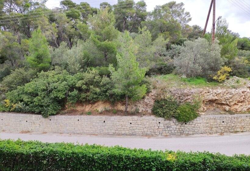 Классический Номер, Xenia Poros Image