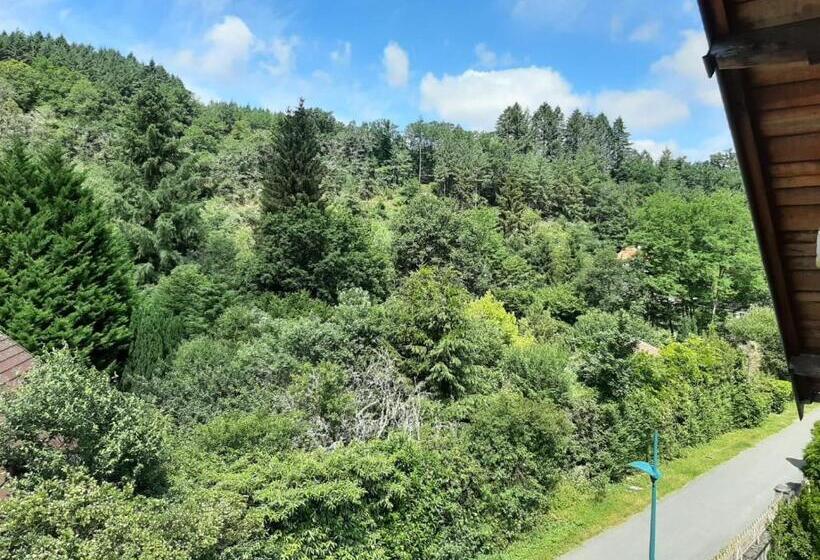 Стандартный Номер Кровать Кинг, Villa Guillaumette B&b