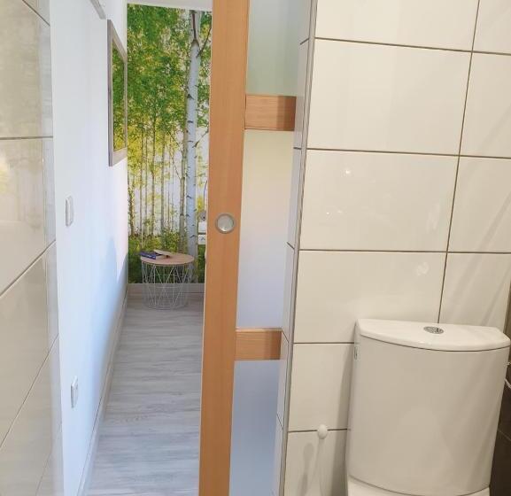 Номер Стандарт, Chez Stef
