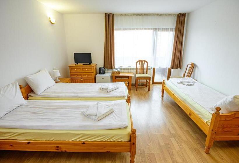 اتاق استاندارد سه نفره, Guest House 7