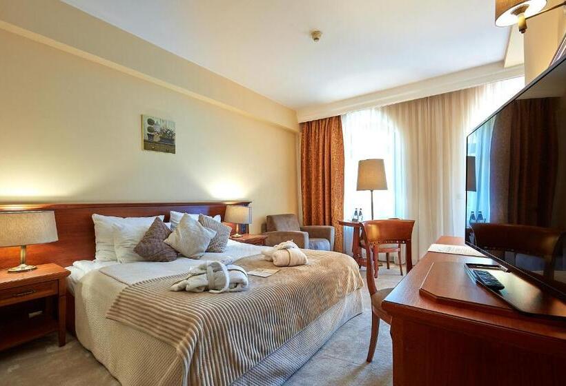 Номер Стандарт, Grand Hotel Stamary