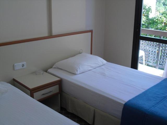 חדר סטנדרט נוף לגינה, Kerman Hotel