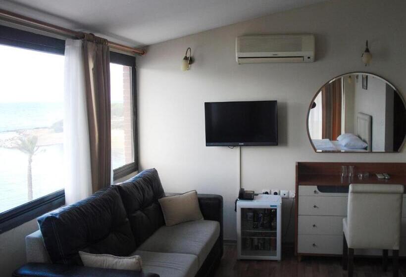 סוויטה עם טרסה, Kerman Hotel