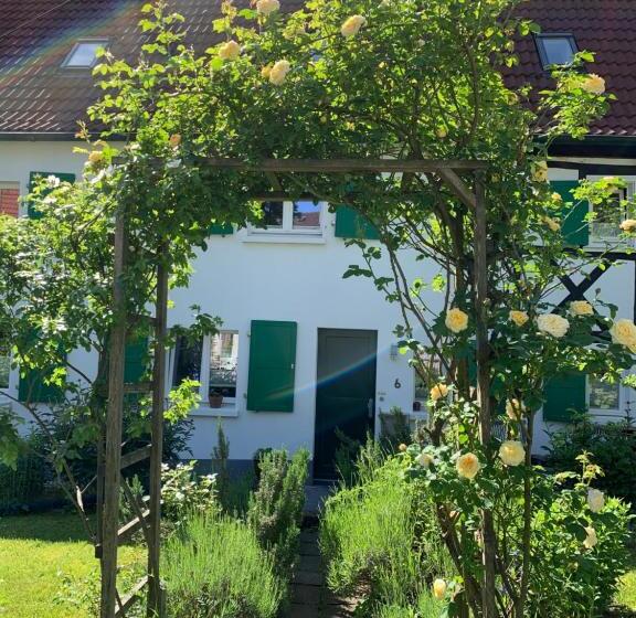Номер Стандарт, Buxhaus