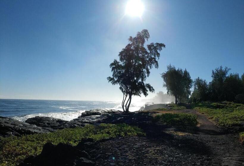 דירת שני חדרים, Ocean Breeze Inn