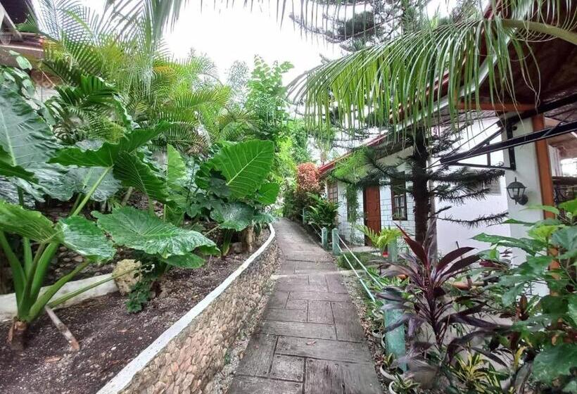 بانگلوی استاندارد با چشم‌انداز دریا, Sambag Hideaway Bungalows