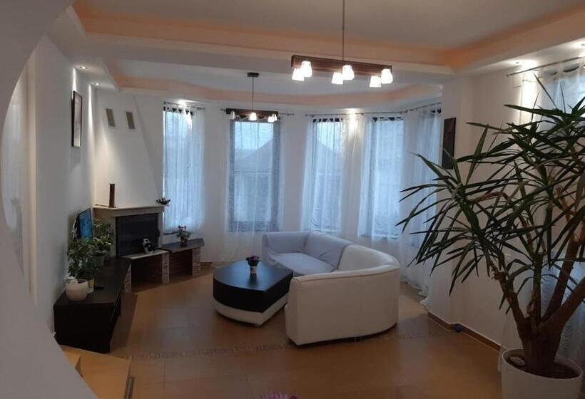 Номер Deluxe Кровать Кинг, Pensiunea Turist