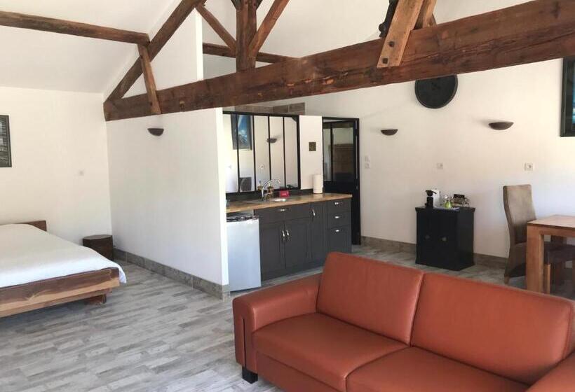 اتاق استاندارد با تراس, Domaine Des Jardins De La Saône