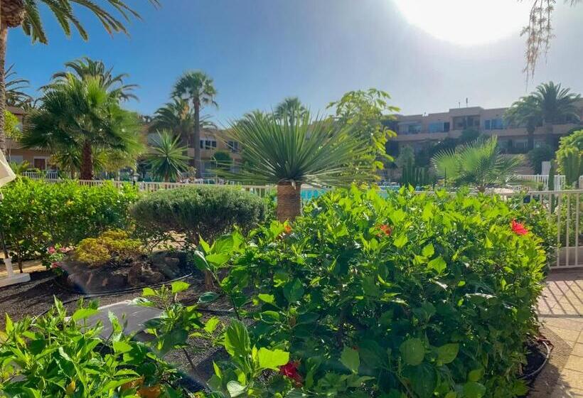 1베드룸 아파트 1층, La Primera Duna   Residencial Las Dunas