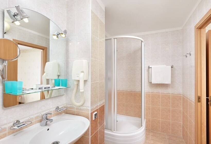 اتاق استاندارد, Grand Hotel Oka Business