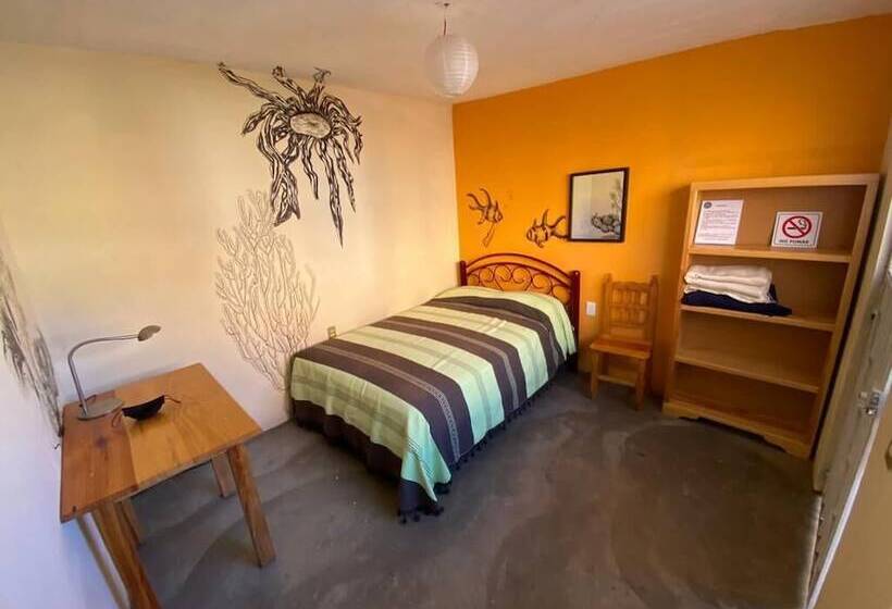 اتاق استاندارد, Los Nardos Hostel