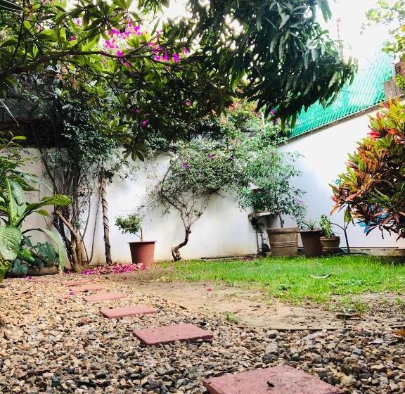 اتاق خانوادگی, Los Nardos Hostel