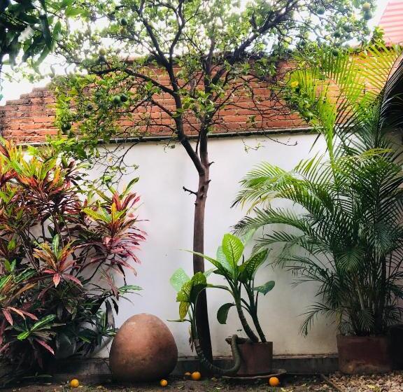 اتاق استاندارد سه نفره, Los Nardos Hostel