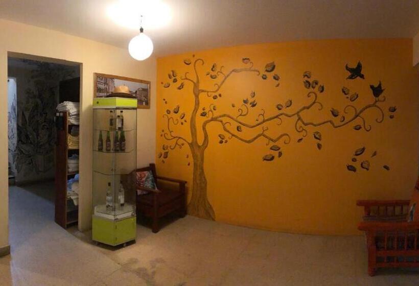 اتاق استاندارد چهار تخته, Los Nardos Hostel
