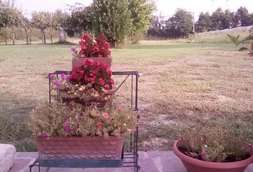 اتاق استاندارد, Borgo Tarapino