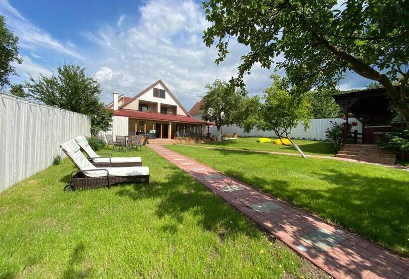 ویلای سوپریور 1 خوابه, Vila Crisalia Sibiel Sibiu