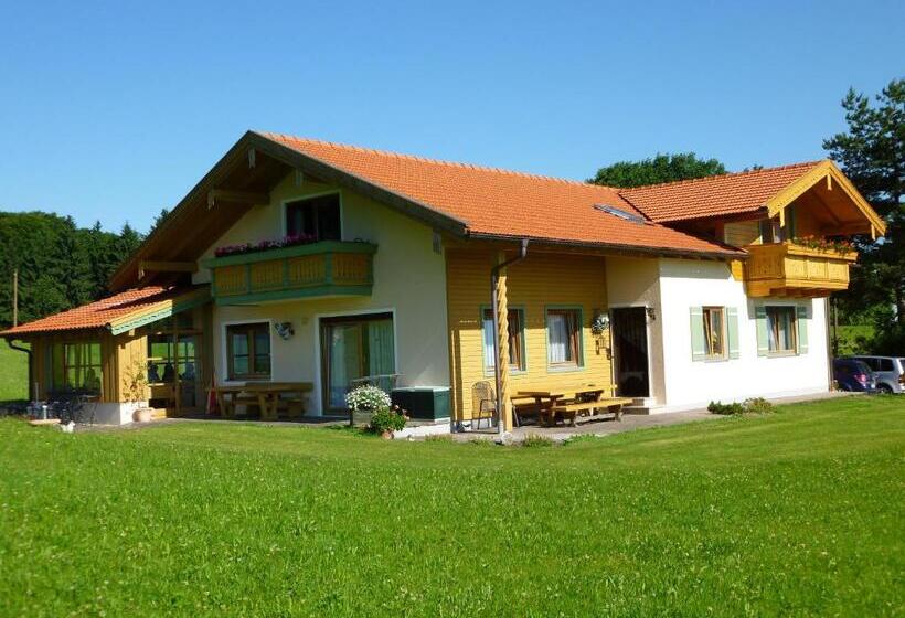 Номер Стандарт с Террасой, Gästehaus Annemarie