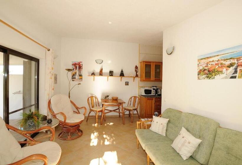 Apartamento 1 Dormitório com Terraço, Vivenda Johanna