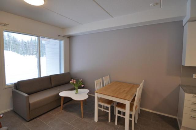 带1个卧室的公寓, Lost In Ylläs