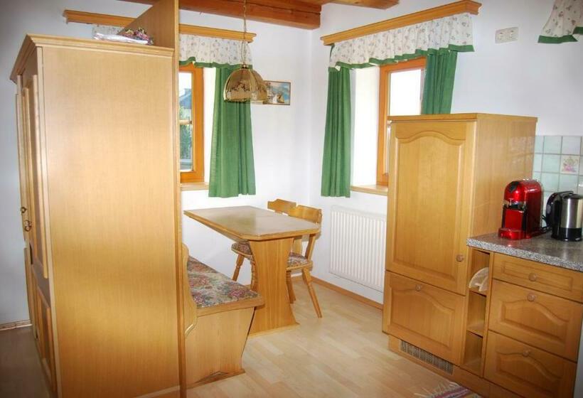 Апартаменты 1 Спальня, Bauernhof Hatzlhof