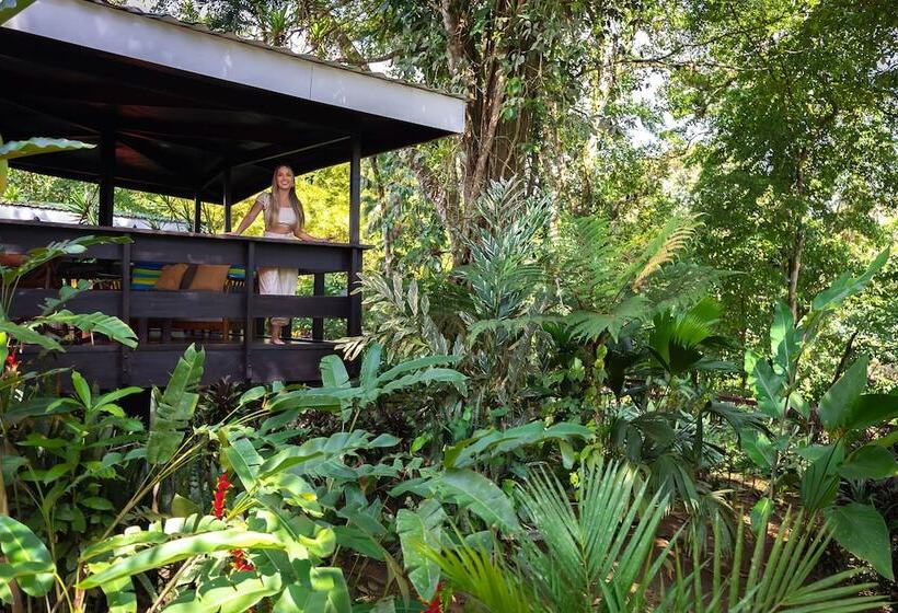 بانگلوی استاندارد, Chachagua Rainforest Hotel & Hot Springs