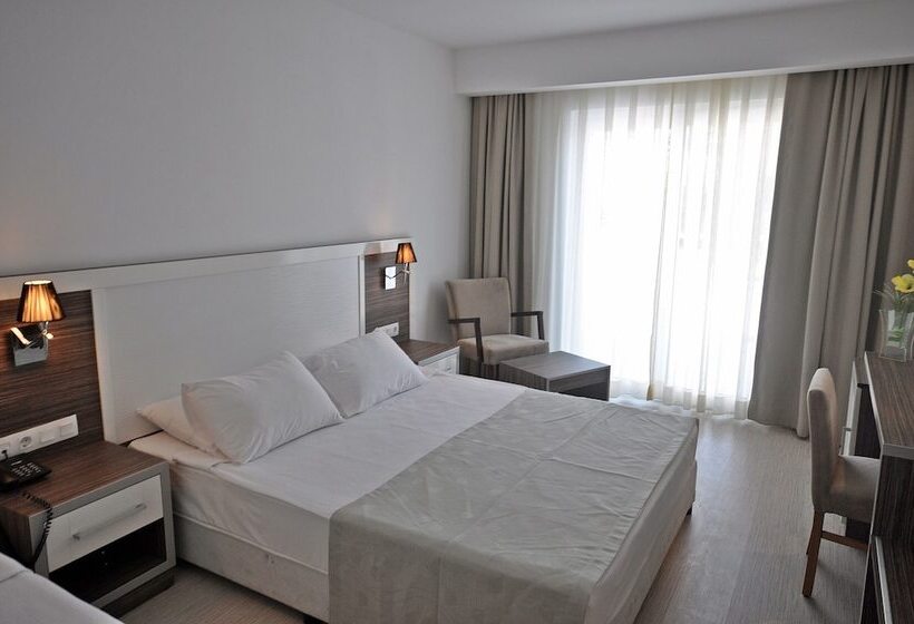 Quarto Estandar Individual, Club Shark