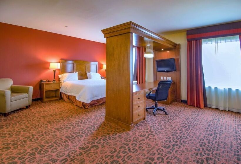 Estudi Estàndard Llit Matrimoni, Hampton Inn & Suites Bastrop