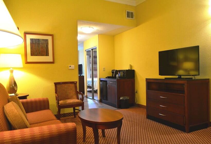 Номер Стандарт Адаптированный для Инвалидов, Hilton Garden Inn Houston West Katy