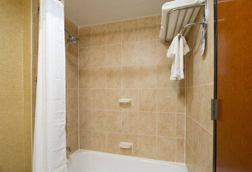 اتاق استاندارد با 2 تخت دوبل, Holiday Inn Express Wall Street, An Ihg Hotel