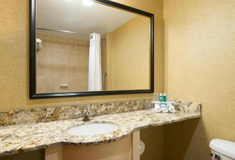 اتاق استاندارد با تخت بزرگ, Holiday Inn Express Wall Street, An Ihg Hotel