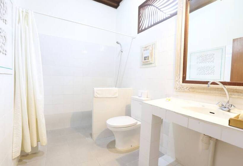 Номер Superior, Bumi Ayu Bungalow Sanur