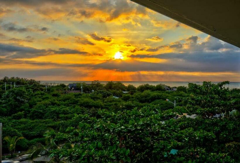 Полулюкс, Estelar Playa Manzanillo   All Inclusive