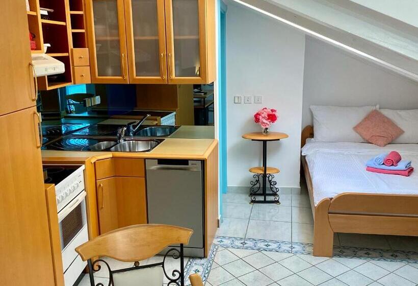 آپارتمان 1 خوابه با تراس, Apartments Igor