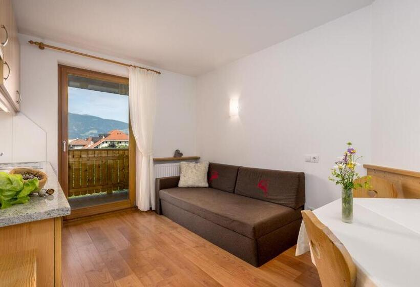 آپارتمان 1 خوابه, Ferienwohnung Mair Am Bach