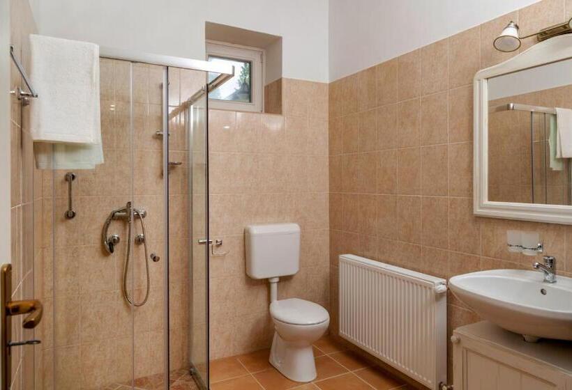 Апартаменты 1 Спальня, Balzsam Apartmanház