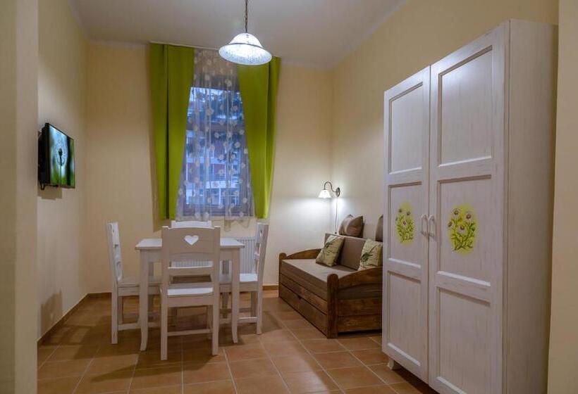Апартаменты Deluxe 1 Спальня, Balzsam Apartmanház
