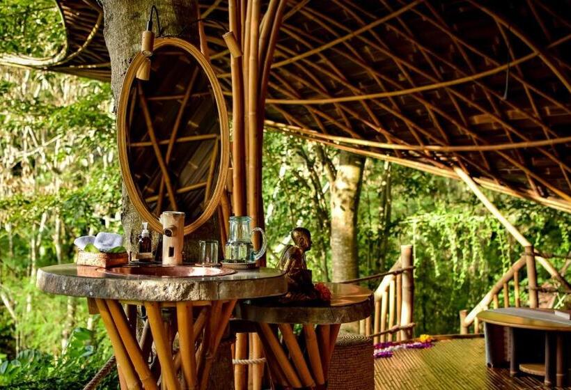 سوییت, Bambu Indah