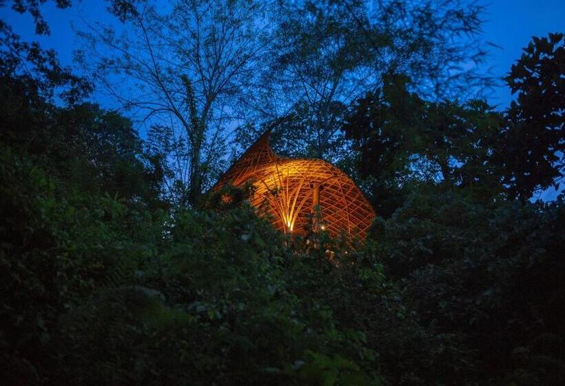 스위트, Bambu Indah