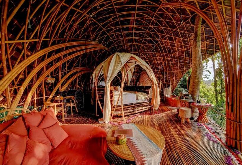 سوییت, Bambu Indah