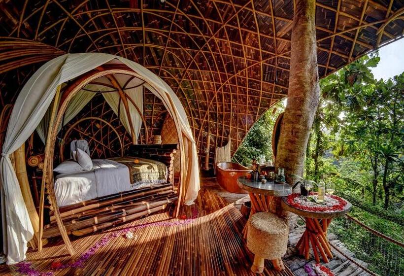 스위트, Bambu Indah