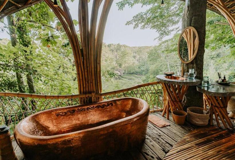 سوییت, Bambu Indah