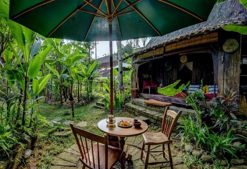 خانه 1 خوابه, Bambu Indah