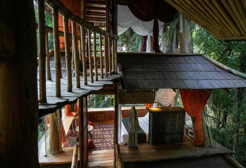 اتاق خانوادگی, Bambu Indah