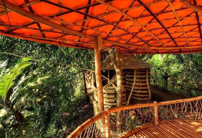 Standard Tent, Bambu Indah