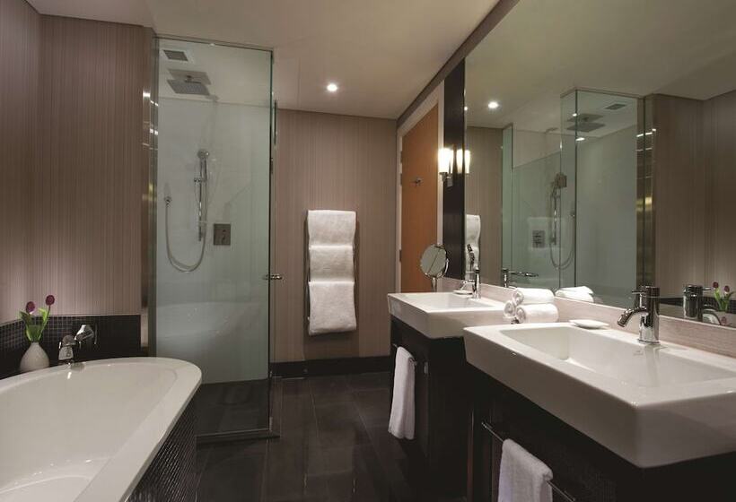 豪华湖景房, Hilton Queenstown Resort & Spa