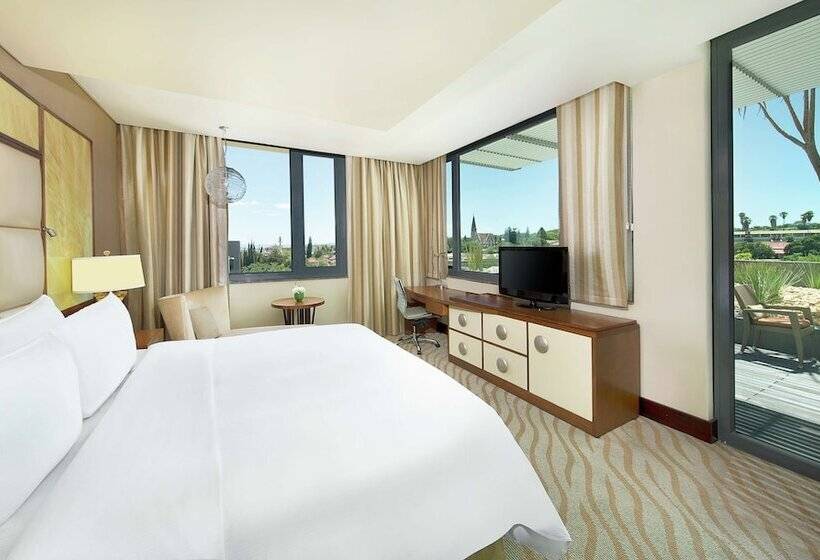 اتاق اجرایی, Hilton Windhoek