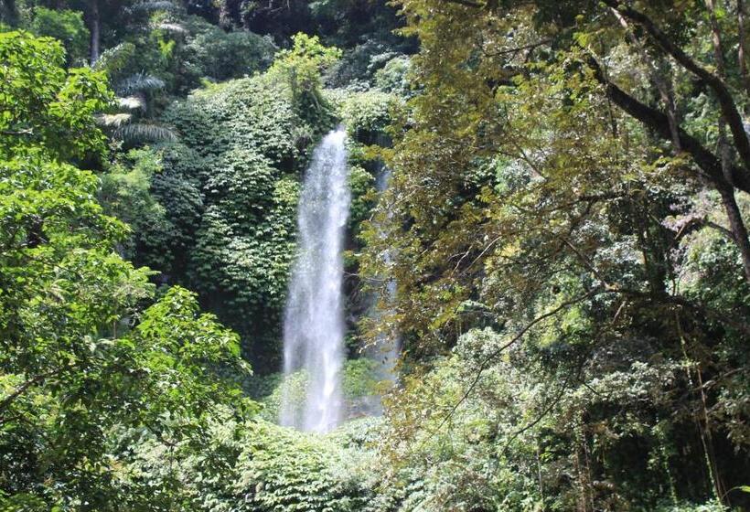 Номер Economy, Budaya Kaki Rinjani