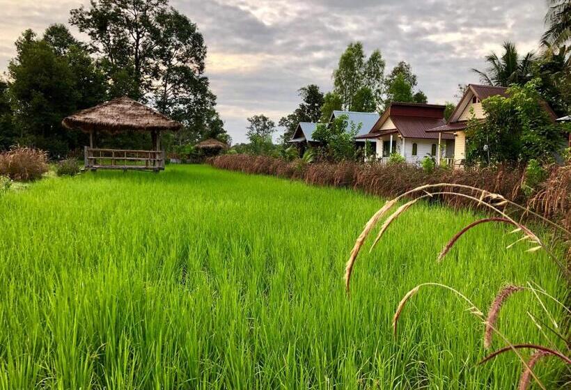 اتاق استاندارد, Baan Thung Home Stay