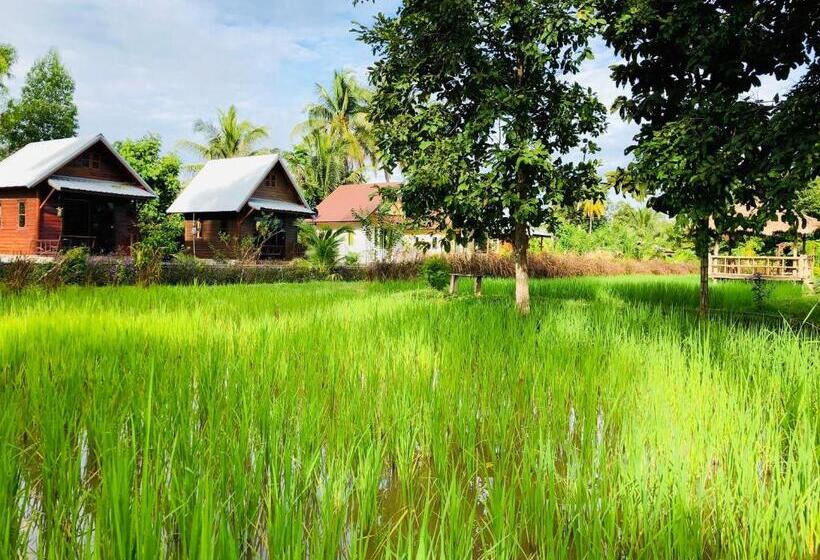اتاق استاندارد با تراس, Baan Thung Home Stay